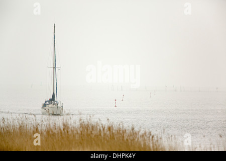 Niederlande, Lelystad, Lake genannt IJsselmeer. Ausflugsschiff im Morgennebel Stockfoto