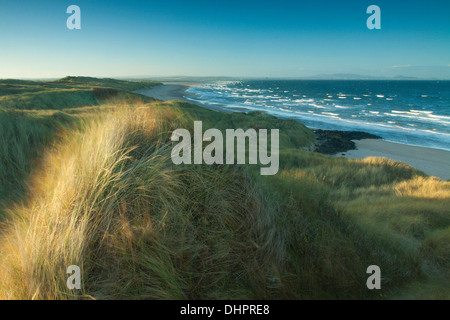 Die Küste von East Lothian, die Pentland Hills und Gullane Dünen von Gullane Point, Gullane, East Lothian Stockfoto