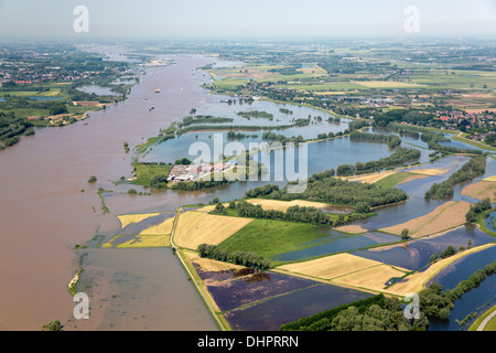 Niederlande, Dodewaard. Fluss Waal. Überschwemmungsgebiete. Überfluteten Land. Bauunternehmen. Luftbild Stockfoto