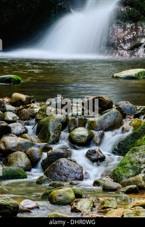 Geroldsauer Wasserfall Baden-Baden Deutschland Stockfoto