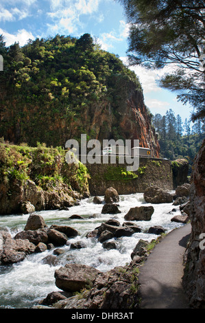 Die Straßen- und Ohinemuri Fluß in The Karangahake Gorge zwischen Waihi und Paeroa, Coromandel Halbinsel, Neuseeland. Stockfoto