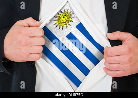 Die uruguayische Flagge Stockfoto