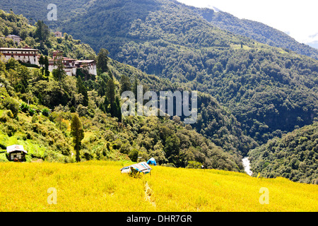 Trongsa Hills Dzong, Fluss, Mangde Chhu, Trongsa Markt, Könige Retreat, Aussicht vom Hotel Yanghil Resort, Trongsa, Ost Bhutan Stockfoto