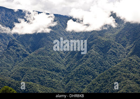 Trongsa Hills Dzong, Fluss, Mangde Chhu, Trongsa Markt, Könige Retreat, Aussicht vom Hotel Yanghil Resort, Trongsa, Ost Bhutan Stockfoto