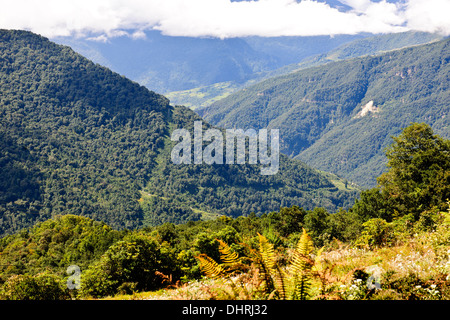 Trongsa Hills Dzong, Fluss, Mangde Chhu, Trongsa Markt, Könige Retreat, Aussicht vom Hotel Yanghil Resort, Trongsa, Ost Bhutan Stockfoto