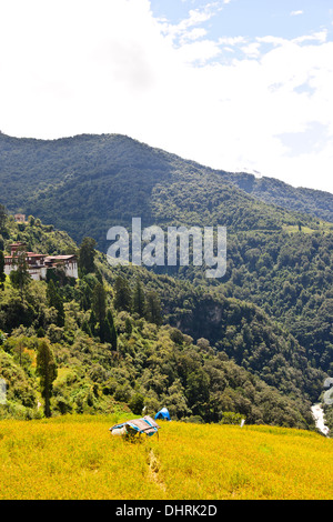 Trongsa Hills Dzong, Fluss, Mangde Chhu, Trongsa Markt, Könige Retreat, Aussicht vom Hotel Yanghil Resort, Trongsa, Ost Bhutan Stockfoto