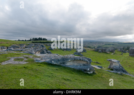 Die Elephant Rocks zwischen Ngapara und Duntroon, Waitaki Valley, Otago, Südinsel, Neuseeland. Stockfoto