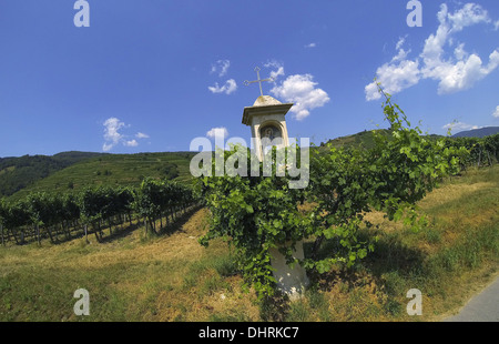 Donauradweg, Radfahren in der Nähe der Donau Fluß, Österreich. Stockfoto