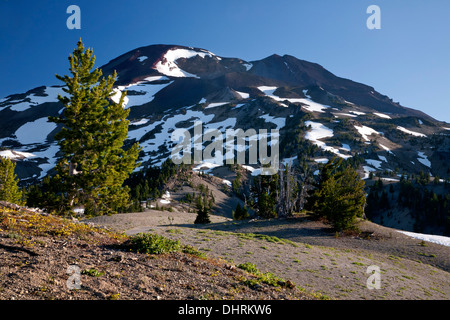 OREGON - South Sister aus dem Süden Schwester Klettern Trail in drei Schwestern Wildnisgebiet des Deschutes National Forest. Stockfoto