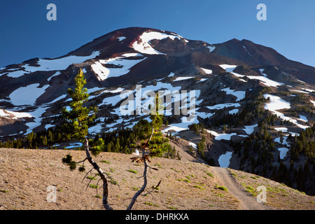 Die South Sister aus dem Süden Schwester Klettern-Pfad in die drei Schwestern Wilderness Area des Deschutes National Forest. Stockfoto