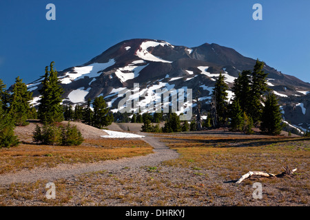 OREGON - South Sister aus dem Süden Schwester Klettern Trail in drei Schwestern Wildnisgebiet des Deschutes National Forest. Stockfoto