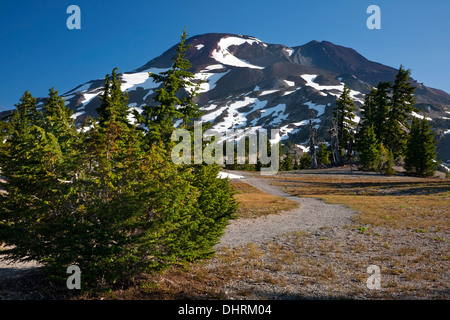 Die South Sister aus dem Süden Schwester Klettern-Pfad in die drei Schwestern Wilderness Area des Deschutes National Forest. Stockfoto