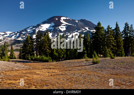 OREGON - die Schwester der Süden von einer Wiese auf dem Trail Wickiup Ebene in der drei-Schwestern-Wildnis. Stockfoto