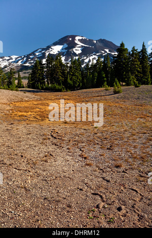 Die South Schwester von einer Wiese auf der Spur der Wickiup Ebene in die drei Schwestern Wildnis des Deschutes National Forest. Stockfoto