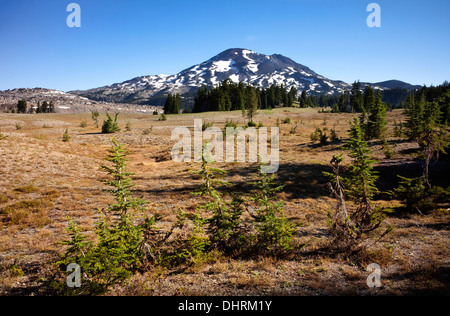 . OREGON - South Sister und der Rock Mesa von einer Wiese auf dem Trail auf Wickiup Plain in der drei-Schwestern-Wildnis. Stockfoto