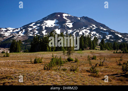 Die South Schwester von einer Wiese auf der Spur der Wickiup Ebene in die drei Schwestern Wildnis des Deschutes National Forest. Stockfoto