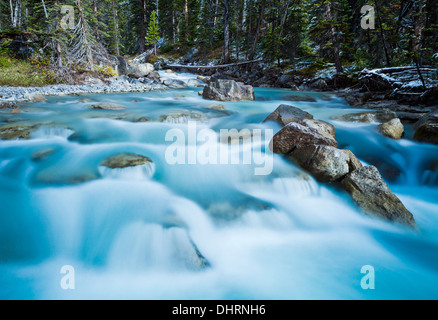 Schnell fließende Strom bei Nigel Creek Nigel Pass Süd Grenze Trail des Jasper National Park Canadian Rockies Alberta Kanada Stockfoto