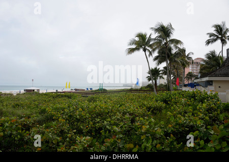 Bewölkt Morgen auf Marco Island vom Hilton resort Stockfoto