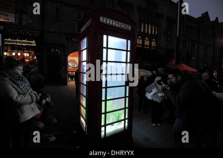 Durham, Großbritannien. 14. November 2013. Bild: Französische Aquarium Telefonzelle, Benedetto Bufalino et Benoit Deseille mit dem Aufstieg des Mobiltelefons, Telefonzellen, die seit Jahren so vertraut auf unseren Straßen liegen ungenutzt. Mitarbeiter Benedetto Bufalino & Benoit Deseille, haben eine neue Rolle für diese Käfige nicht mehr existierenden Glas durch Umwandlung in ein Aquarium voller exotisch bunten Fischen gefunden. Diese spielerische Installation lädt uns exotische Reisen und Flucht aus unserem Alltag wegzudenken. Bildnachweis: Alan Sill/Alamy Live News Stockfoto