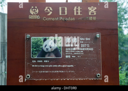 Giant Panda ID Schild am Giant Panda Breeding und Reseach Base in Chengdu, Sichuan Stockfoto