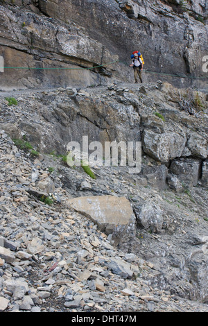 Ein Wanderer durchquert der Mauerweg Garten oberhalb der Going-to-the-Sun Road in der Nähe von Logan Pass im Glacier National Park, Montana. Stockfoto