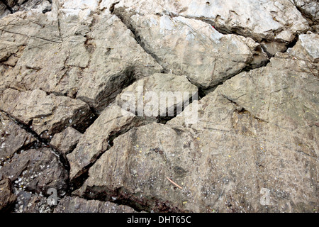 Risse in den großen Steinen am Strand Gegend. Stockfoto