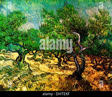 Olive Grove - von Vincent Van Gogh, 1889 Stockfoto