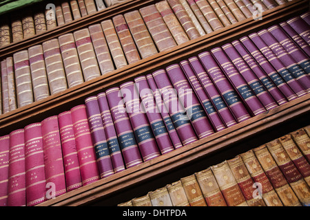 Niederlande, Haarlem, Teylers Museum zugänglich für die Öffentlichkeit seit 1784. Blick auf Bücherregale in ovaler Saal Stockfoto