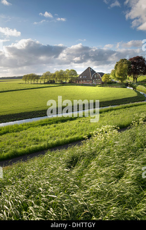 Niederlande, einem, typischer Bauernhof in Beemster Polder, UNESCO Weltkulturerbe Stockfoto