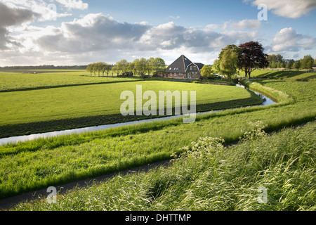 Niederlande, einem, typischer Bauernhof in Beemster Polder, UNESCO Weltkulturerbe Stockfoto