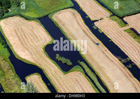 Niederlande, Loosdrecht, Landwirt mit Traktor drehen Rasen zum Trocknen auf der kleinen Insel. Luftbild Stockfoto