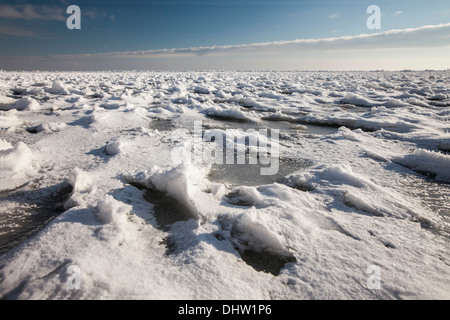 Niederlande, Oosthuizen, Eis auf dem See namens IJmeer. Gefrorene Schilf. Stockfoto