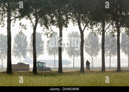 Niederlande, Vijfhuizen, Amsterdam Schiphol Flughafen. KLM Flugzeug Landung. Bauern auf dem Land mit Traktor arbeiten. Radrennfahrer Stockfoto