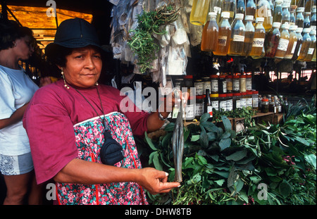 Kräuter-, Mercado Ver o Peso, Belem, Bundesstaat Para, Amazonas, Brasilien, Südamerika Stockfoto