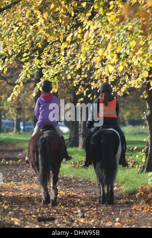 Wimbledon London, UK. 15. November 2013. Zwei Reiter galoppieren auf Pferden auf einen leuchtenden Herbsttag in Wimbledon Common Credit: Amer Ghazzal/Alamy Live-Nachrichten Stockfoto