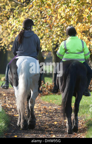 Wimbledon London, UK. 15. November 2013. Zwei Reiter galoppieren auf Pferden auf einen leuchtenden Herbsttag in Wimbledon Common Credit: Amer Ghazzal/Alamy Live-Nachrichten Stockfoto