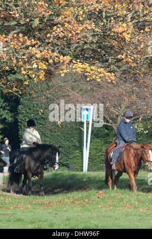 Wimbledon London, UK. 15. November 2013. Zwei Reiter galoppieren auf Pferden auf einen leuchtenden Herbsttag in Wimbledon Common Credit: Amer Ghazzal/Alamy Live-Nachrichten Stockfoto