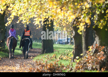 Wimbledon London, UK. 15. November 2013. Zwei Reiter galoppieren auf Pferden auf einen leuchtenden Herbsttag in Wimbledon Common Credit: Amer Ghazzal/Alamy Live-Nachrichten Stockfoto