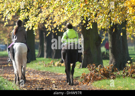 Wimbledon London, UK. 15. November 2013. Zwei Reiter galoppieren auf Pferden auf einen leuchtenden Herbsttag in Wimbledon Common Credit: Amer Ghazzal/Alamy Live-Nachrichten Stockfoto