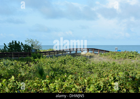 Fußweg zum Strand von Marco Island Hilton Resort Stockfoto