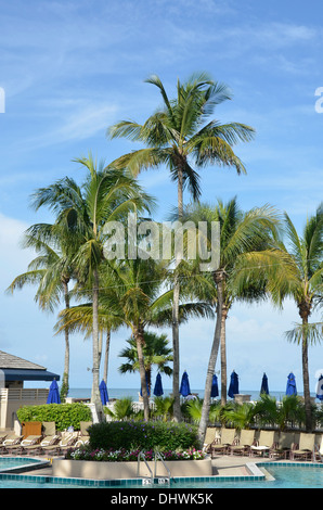 Pool im Marco Island Hilton Hotel auf Marco Island, Florida Stockfoto