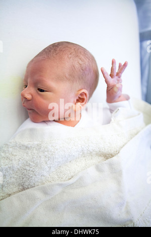NEUGEBORENES BABY Stockfoto