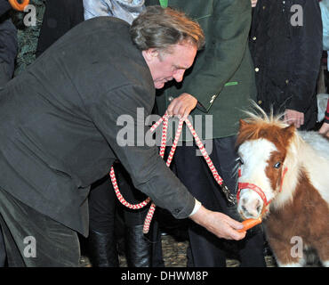 Salzburg, Österreich. 14. November 2013. Französischer Schauspieler Gérard Depardieu speist ein Pony auf der traditionelle Weihnachtsmarkt auf Gut Aiderbichl in Henndorf bei Salzburg, Österreich, 14. November 2013. Am 7. Dezember 2013 wird die Schow "Advent auf Aiderbichl" in ORF 2 ausgestrahlt. Foto: Ursula Düren/Dpa/Alamy Live News Stockfoto