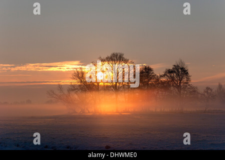 Niederlande, Loenen Aan de Vecht, Schneelandschaft im Morgennebel. Sunrise Stockfoto