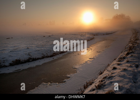 Niederlande, Loenen Aan de Vecht, Schneelandschaft im Morgennebel. Sunrise Stockfoto