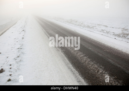 Niederlande, Eemnes Eem Polder. Eempolder, Winter. Landstraße im Nebel Stockfoto