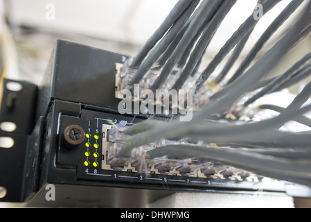 Netzwerkkabel Switches verbunden, geringe Tiefenschärfe Makro Stockfoto