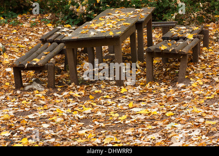 Picknick-Tisch und Boden bedeckt im Herbstlaub Stockfoto