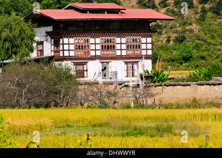 Typisches Bauernhaus umgeben von Reisfeldern, mit Tieren im Erdgeschoß, Bewohner im zweiten Stock, Paro, Bhutan Stockfoto