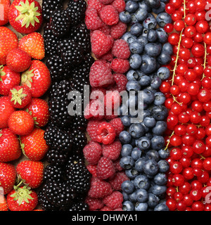 Fresh berry fruits like strawberries, bilberries, red currants, raspberries and blackberries forming a background Stockfoto
